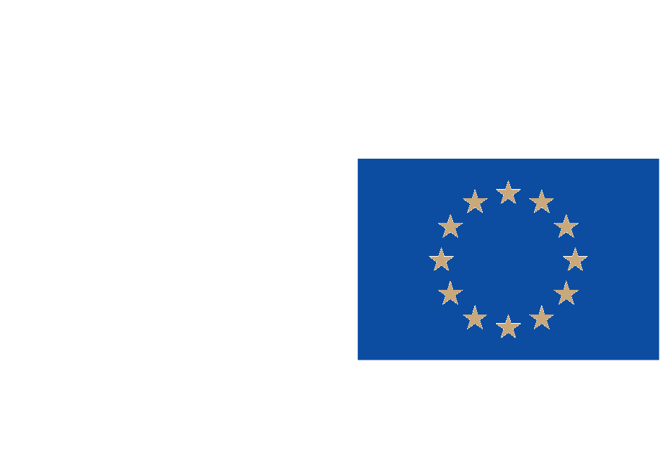European Parliament