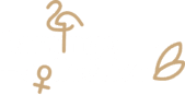 Flamingo Collective